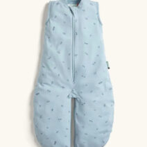 ERGOPOUCH Sleep Suit Bag / 0.2 TOG / 3-12 months / Dragonflies